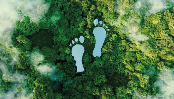 green footprint